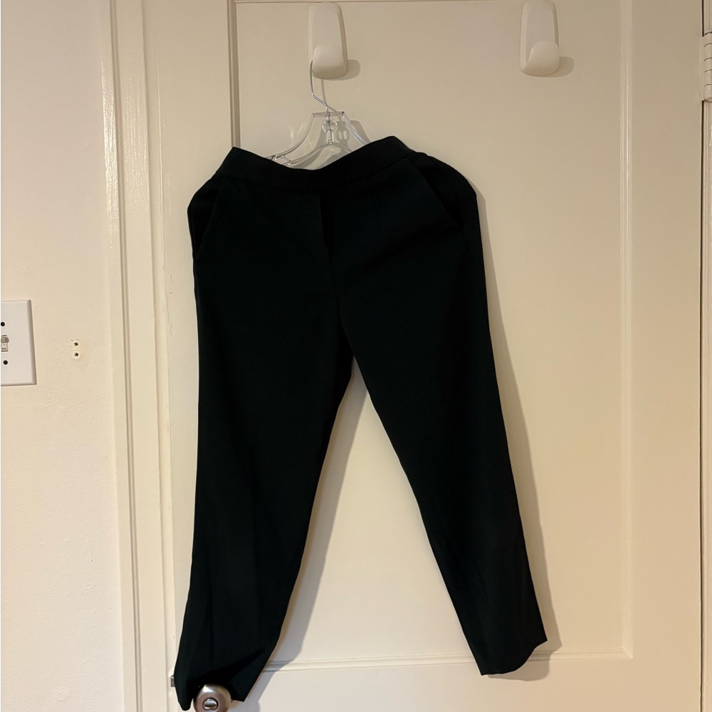 Aritzia Conan Pants